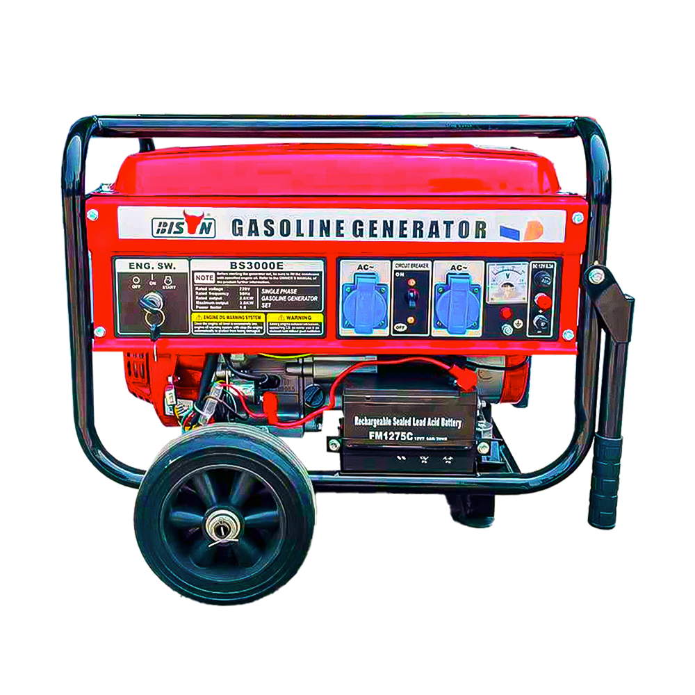 Bison Gasoline Generator 2.8KW BS-3000E