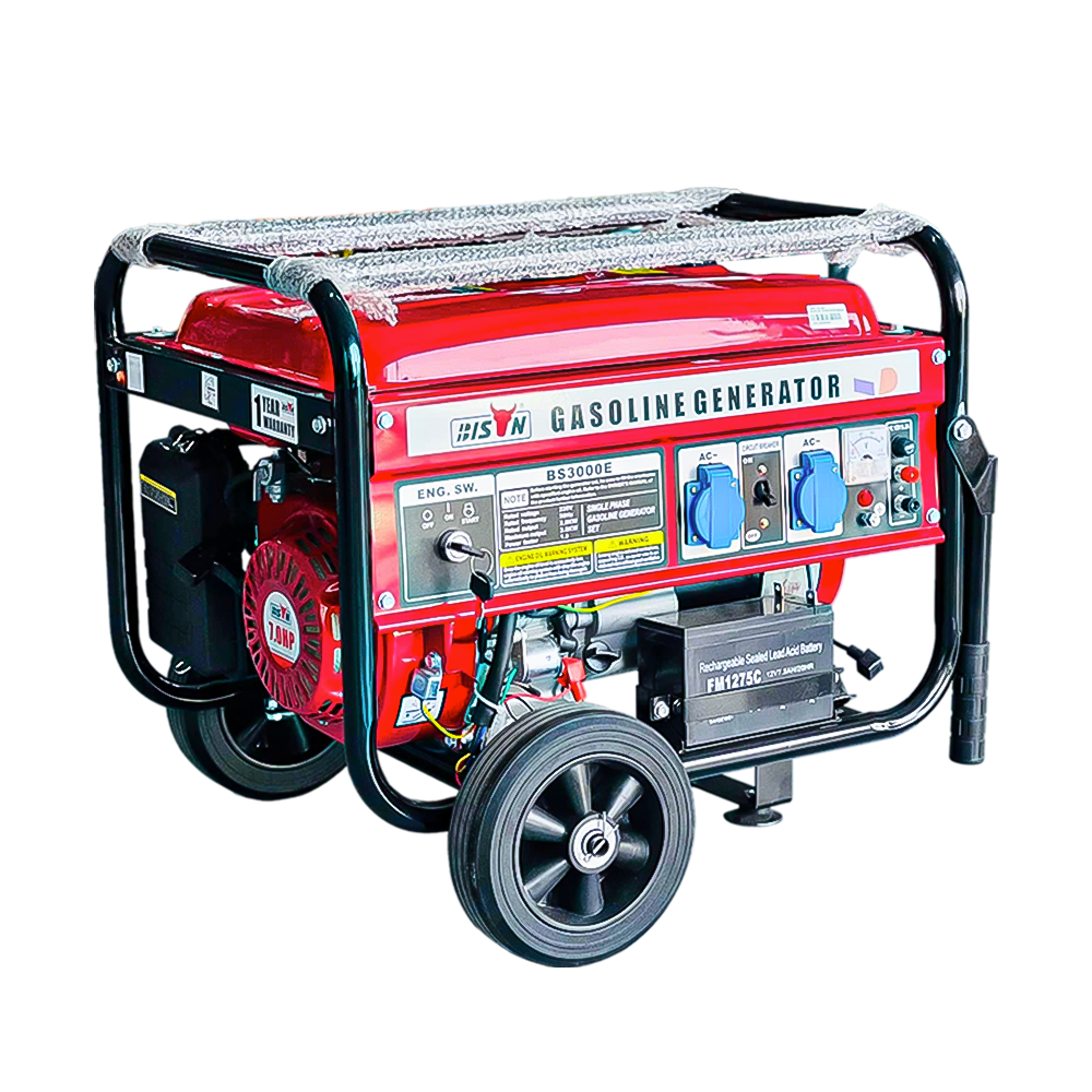 Bison Gasoline Generator 2.8KW BS-3000E