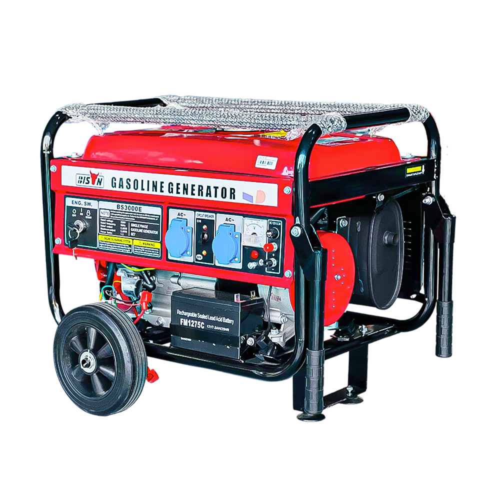 Bison Gasoline Generator 2.8KW BS-3000E