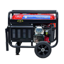 Bison Gasoline Generator 2.8KW BS-3000E