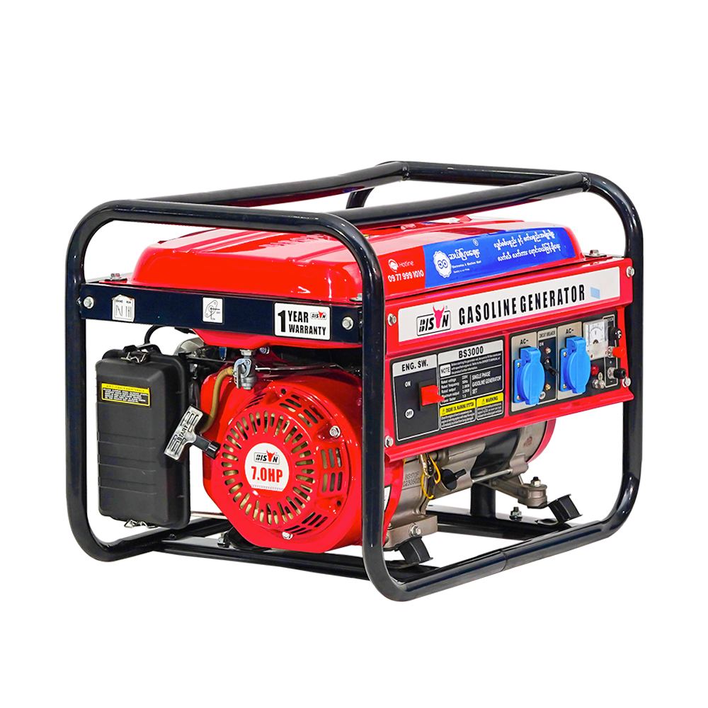Bison Gasoline Generator 2.8KW BS-3000