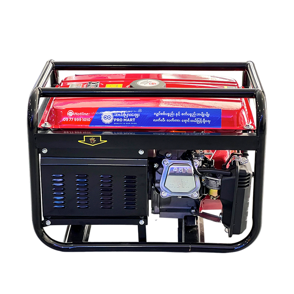 Bison Gasoline Generator 2.8KW BS-3000
