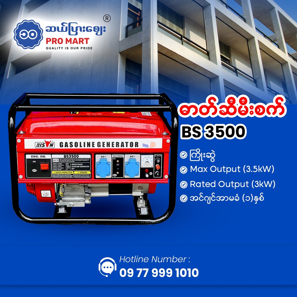 Bison Gasoline Generator 3.5KW BS-3500