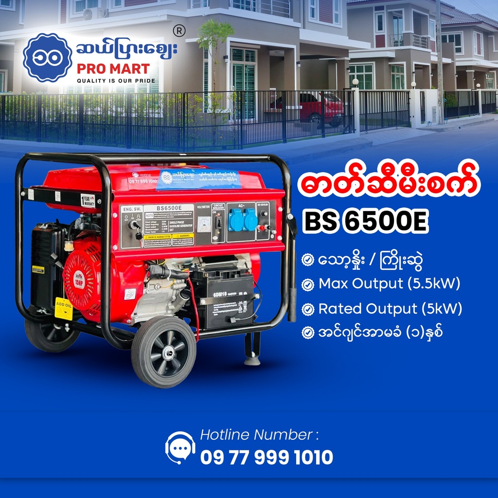 Bison Gasoline Generator 5.5KW BS-6500E