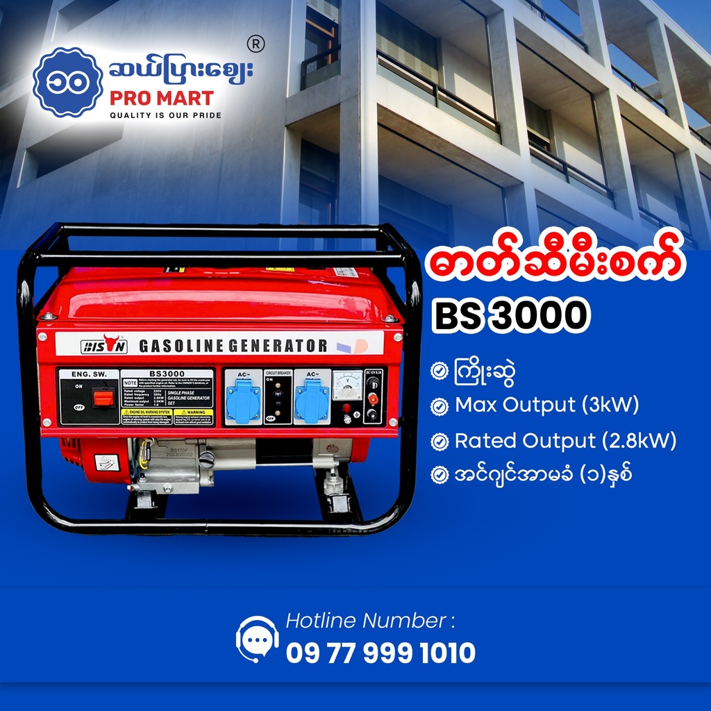 Bison Gasoline Generator 2.8KW BS-3000