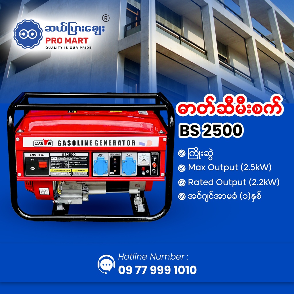 Bison Gasoline Generator 2.5KW BS-2500
