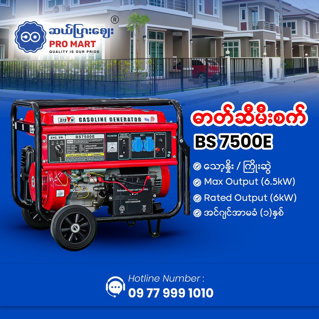 Bison Gasoline Generator 6.5KW BS-7500E