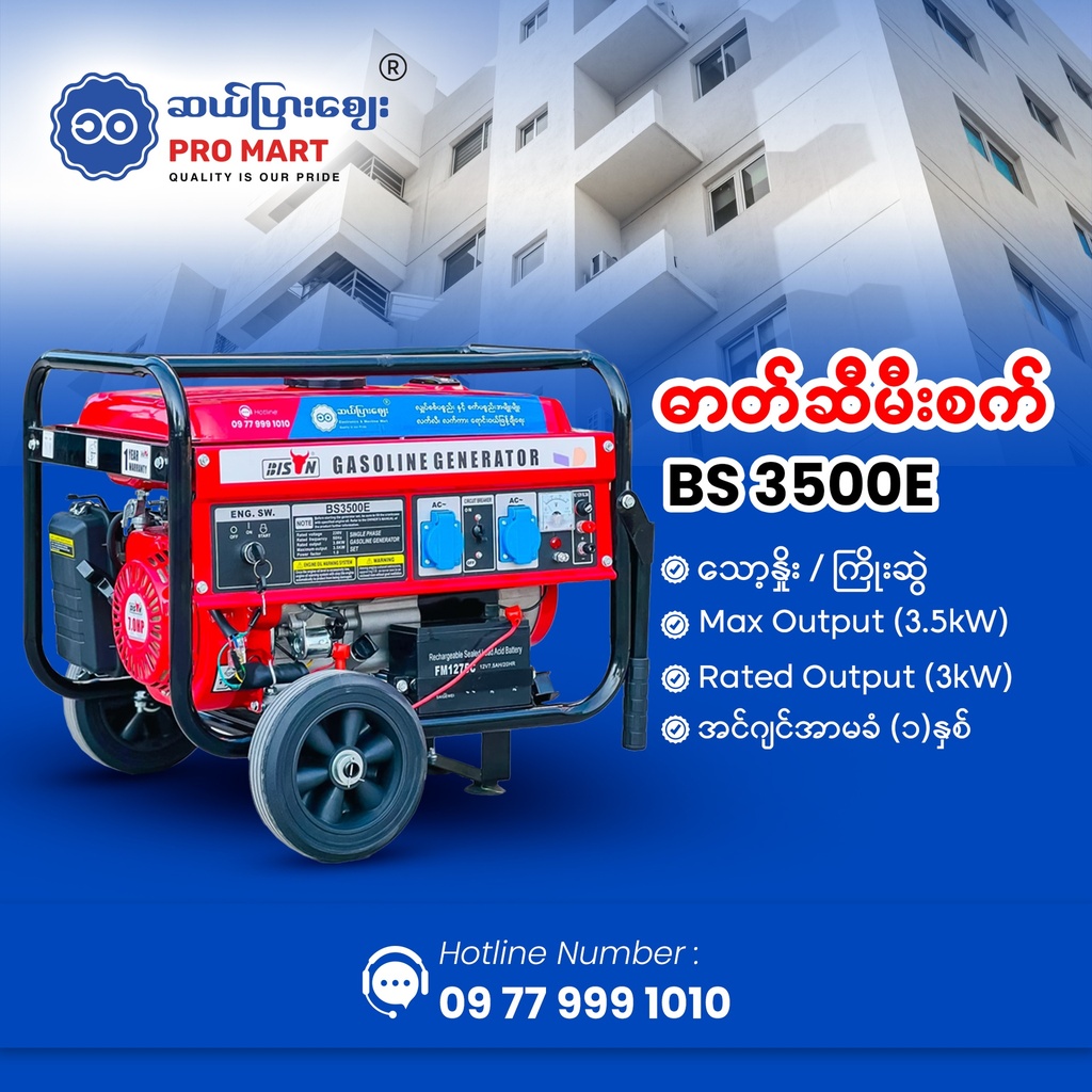 Bison Gasoline Generator 3.5KW BS-3500E