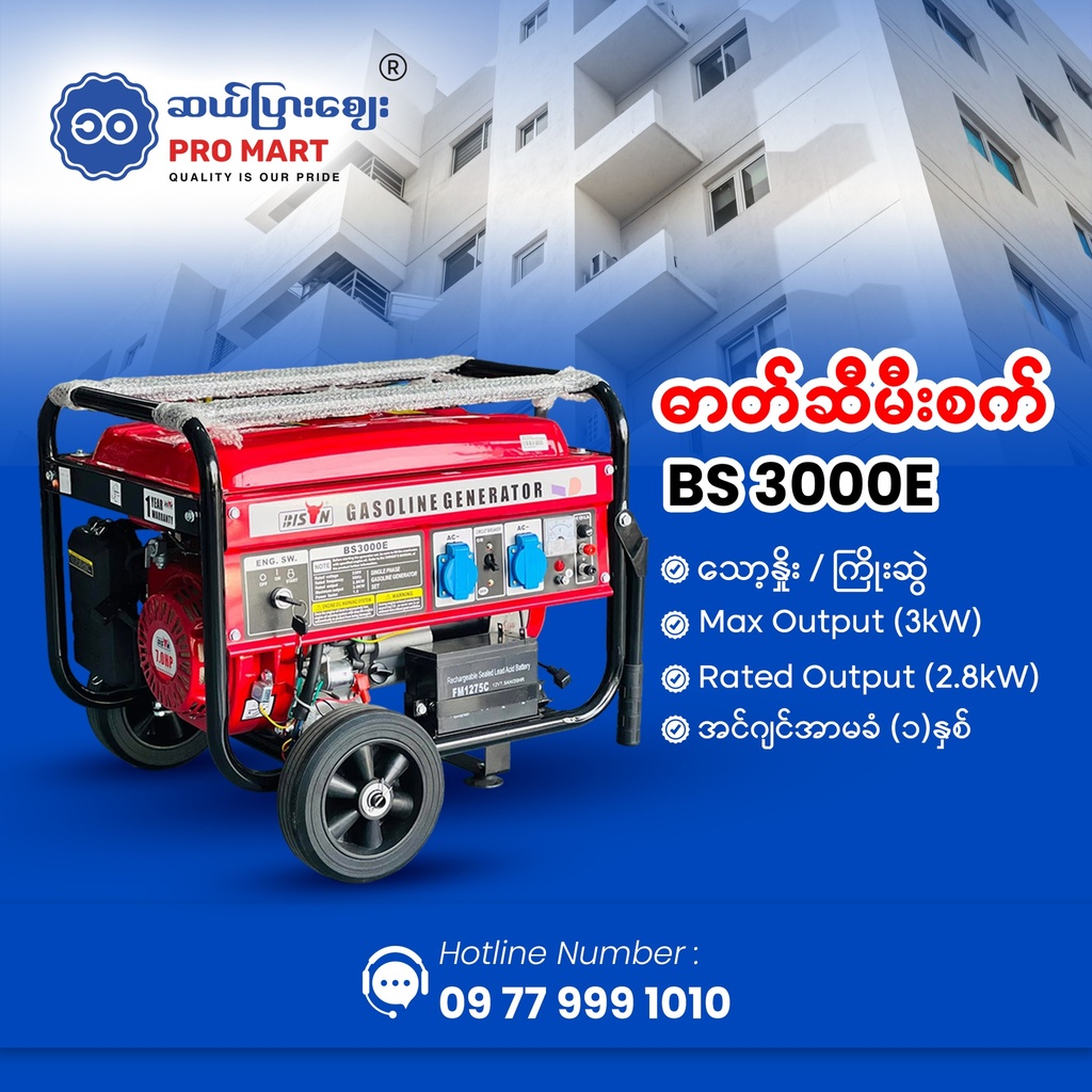 Bison Gasoline Generator 2.8KW BS-3000E