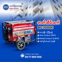 Bison Gasoline Generator 2.8KW BS-3000E