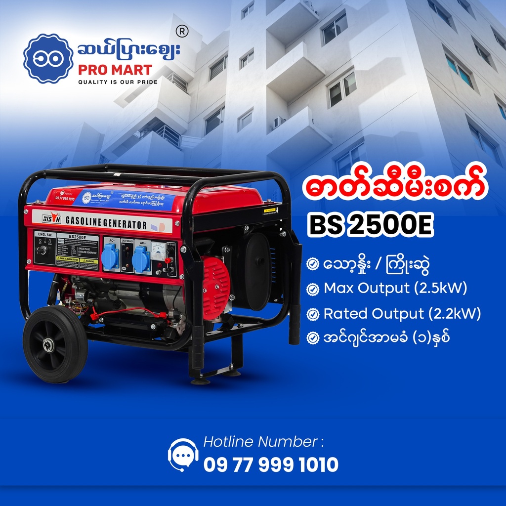 Bison Gasoline Generator 2.5KW BS-2500E