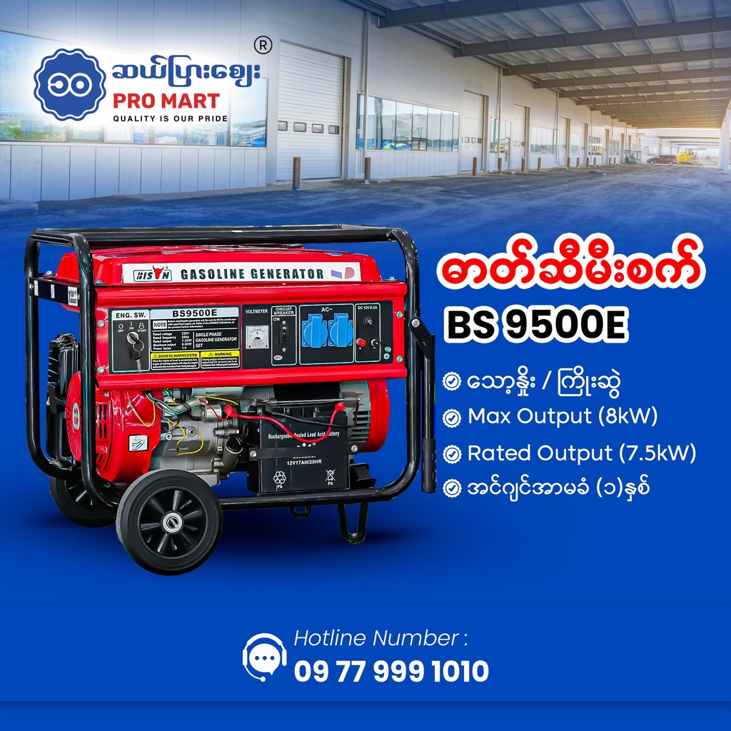 Bison Gasoline Generator 8KW BS-9500E