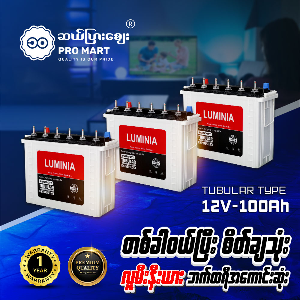 Luminia Tubular Battery 12V 100Ah