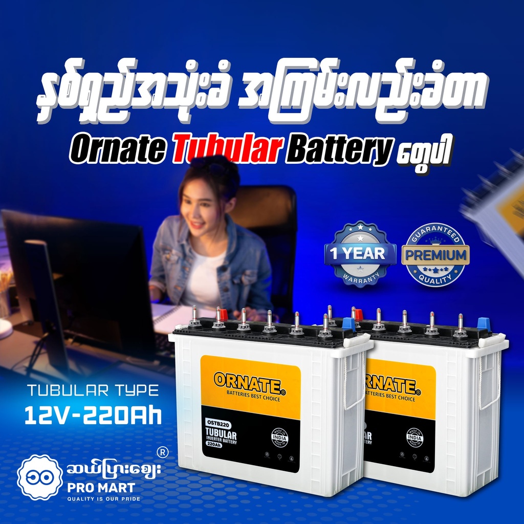 Ornate Tubular Battery 12V 220Ah