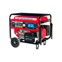 Bison Gasoline Generator 8KW BS-9500E