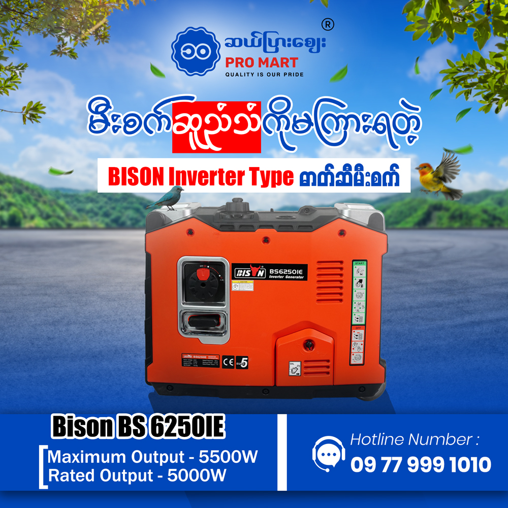 Bison Inverter Generator 5KW BS-6250IE