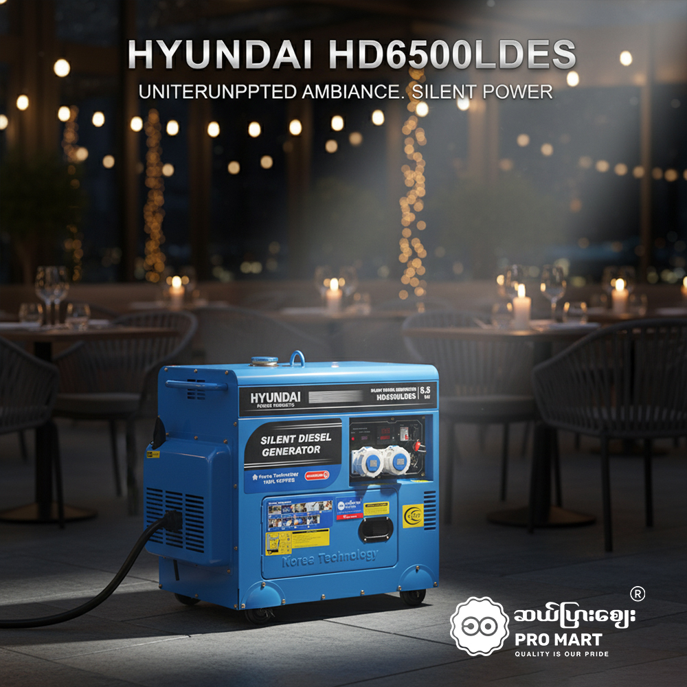 Hyundai Diesel Generator 5.5KW HD6500LDES