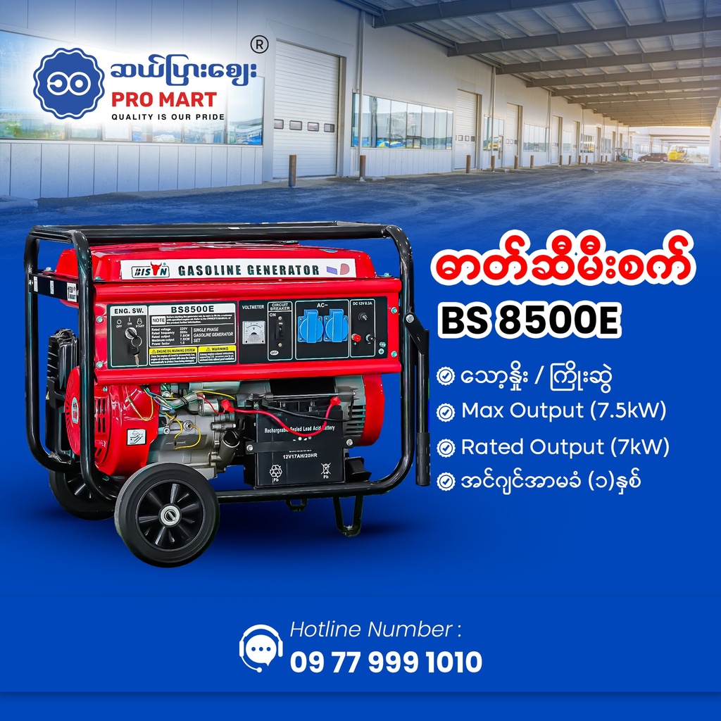 Bison Gasoline Generator 7.5KW BS-8500E