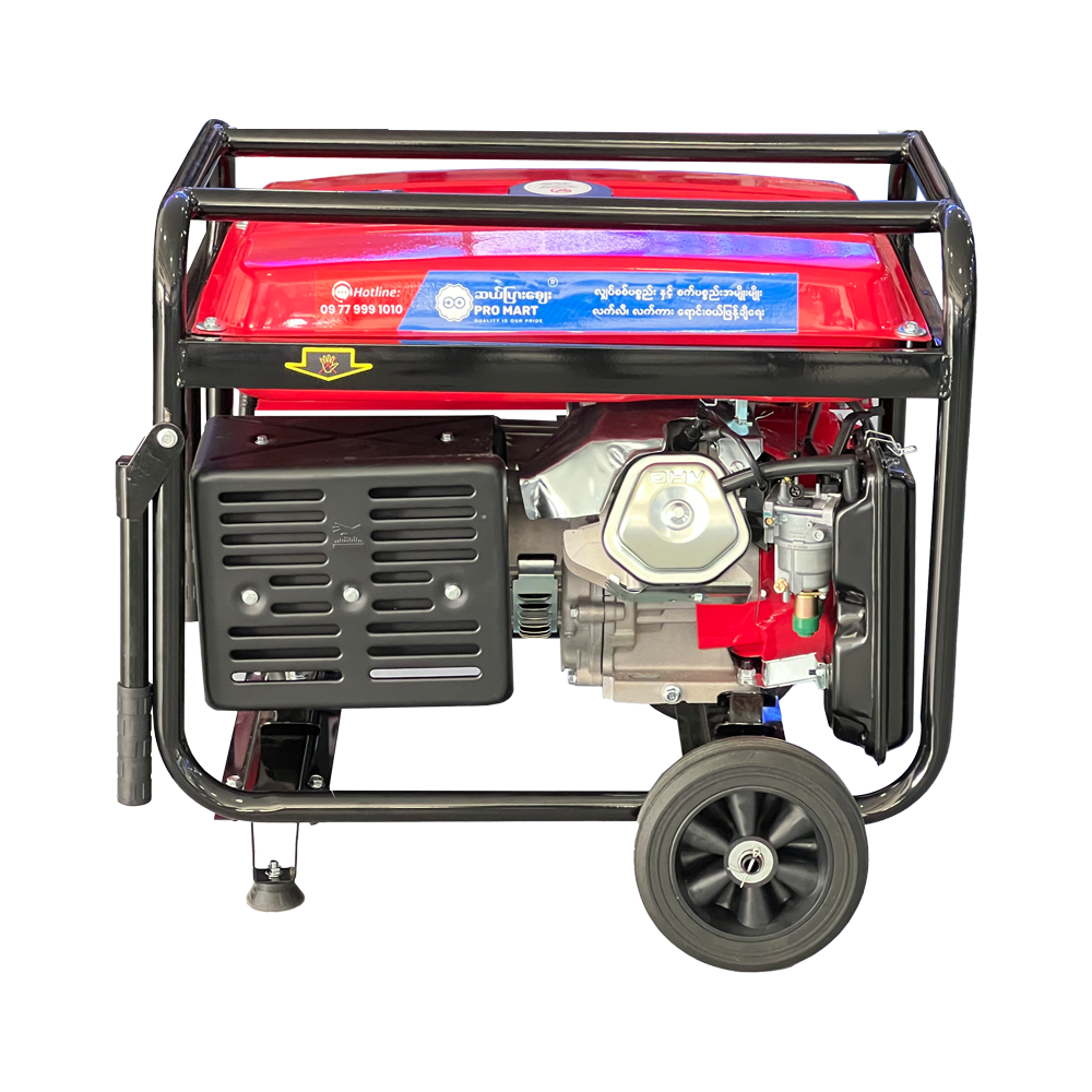 Bison Gasoline Generator 8KW BS-9500E