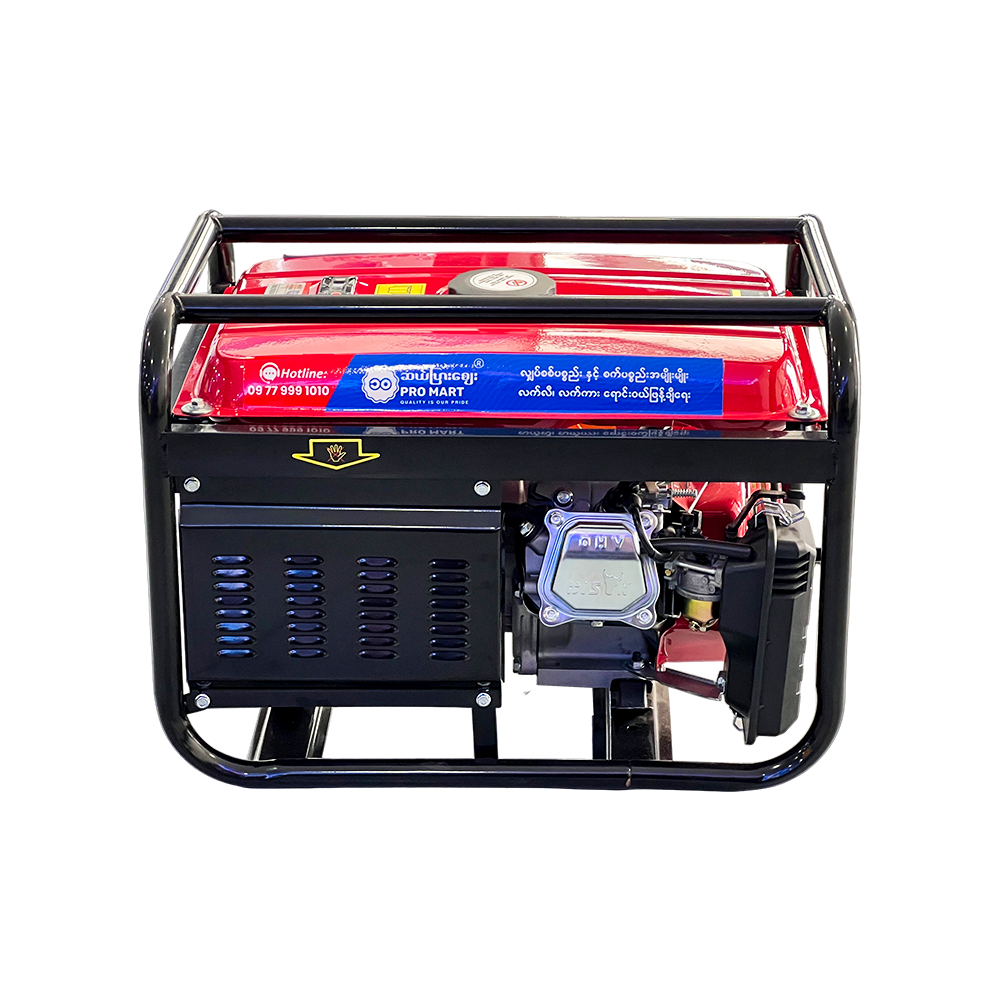 Bison Gasoline Generator 3.5KW BS-3500