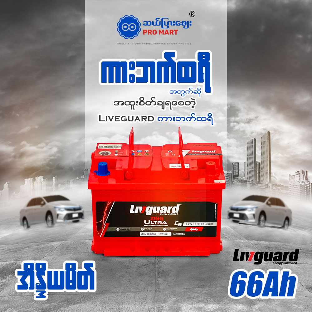 Livguard Battery DIN 66 L