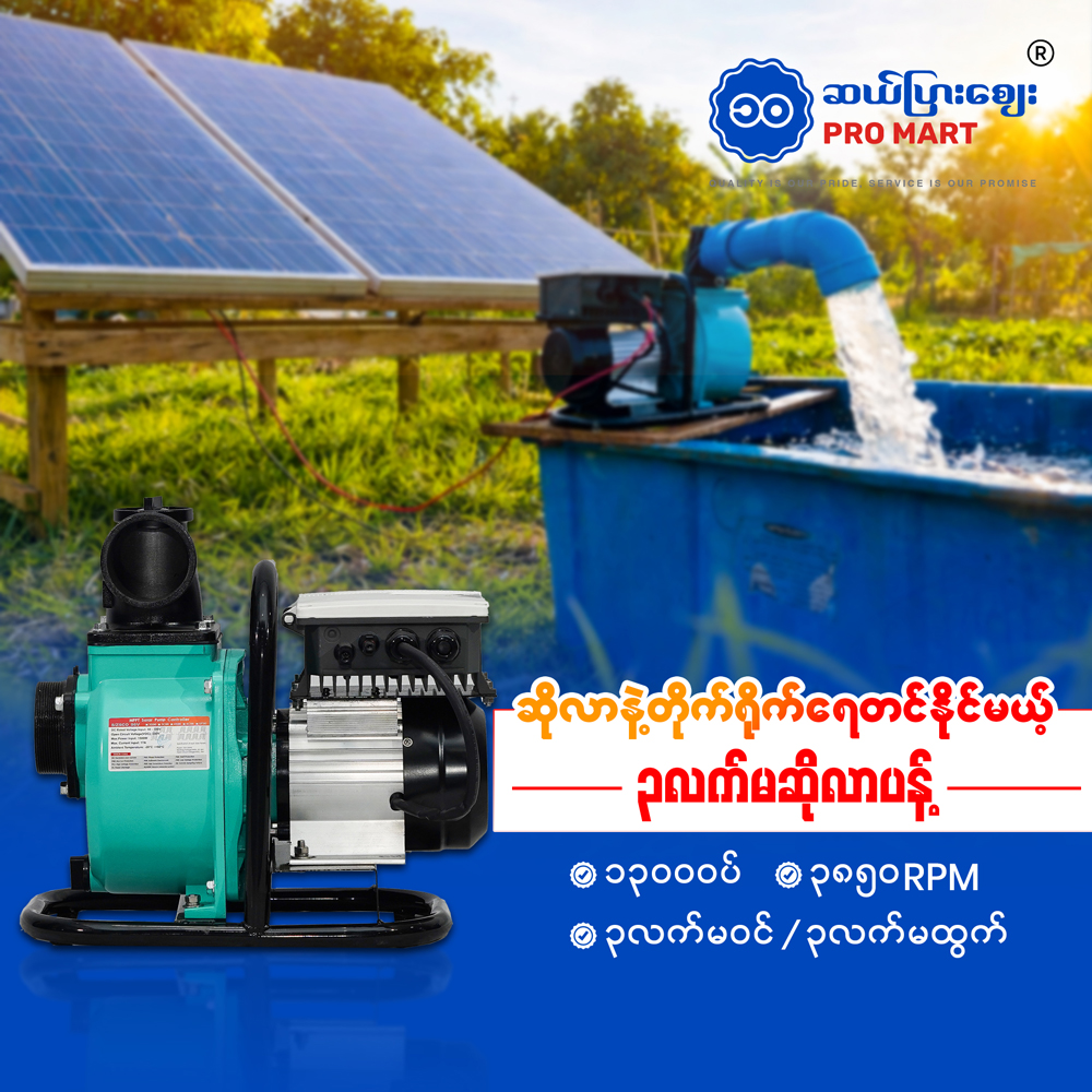 Brushless Solar Pump DC 1300W