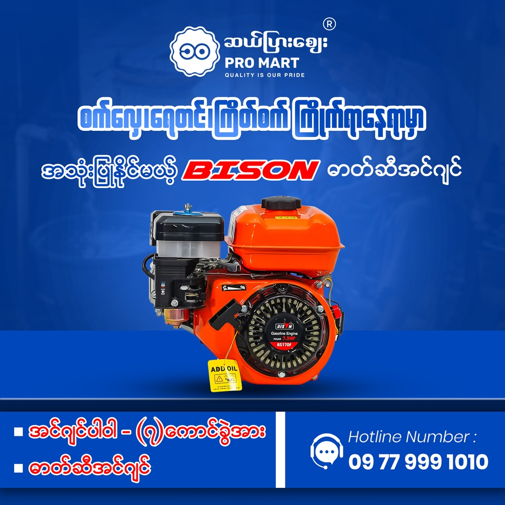 Bison Engine 7.5hp 2" BS20 170F