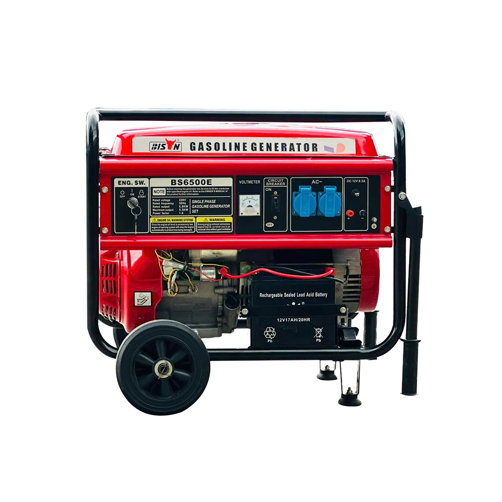 Bison Gasoline Generator 5.5KW BS-6500E