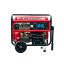 Bison Gasoline Generator 5.5KW BS-6500E