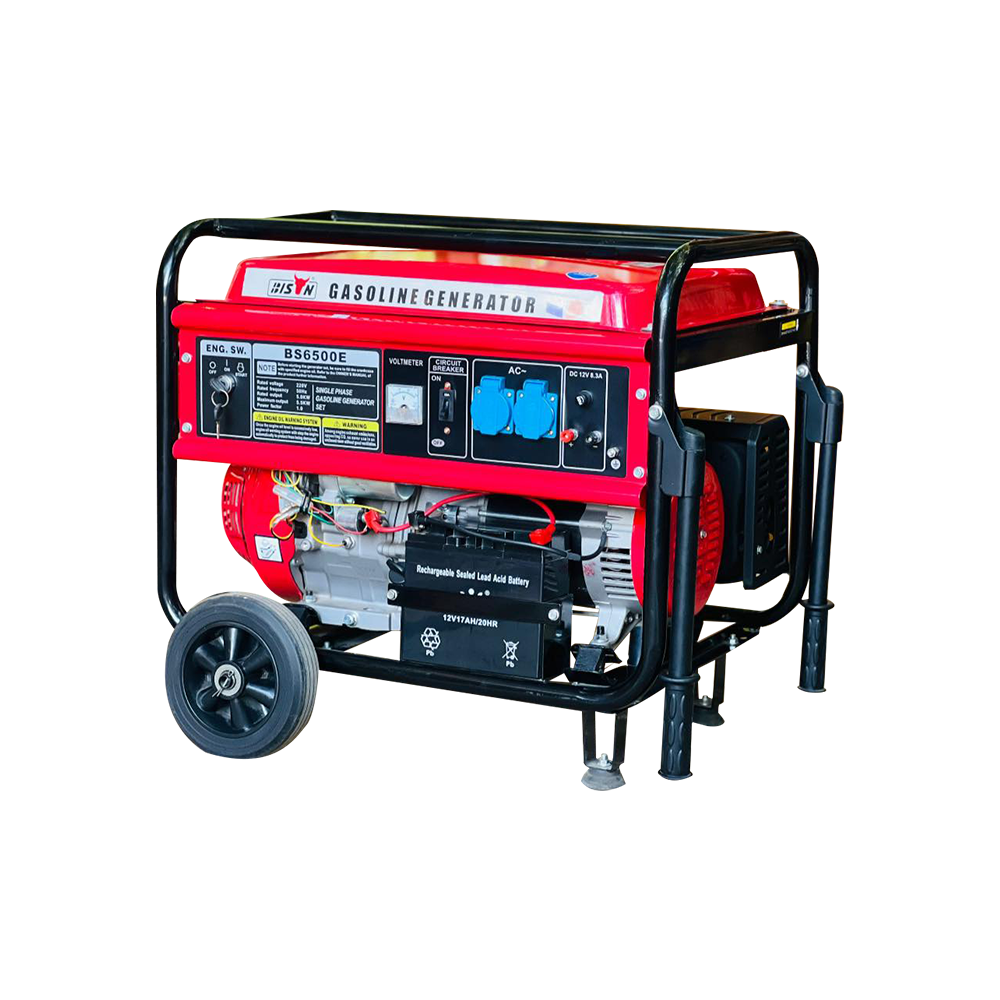Bison Gasoline Generator 5.5KW BS-6500E