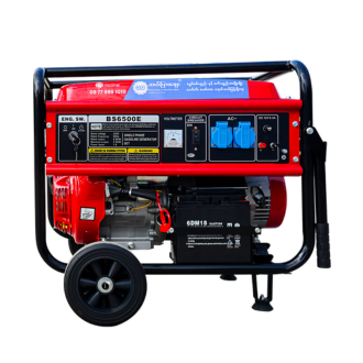 Bison Gasoline Generator 5.5KW BS-6500E