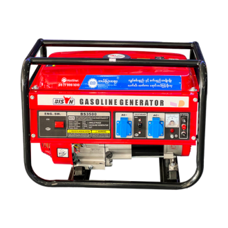 Bison Gasoline Generator 3.5KW BS-3500
