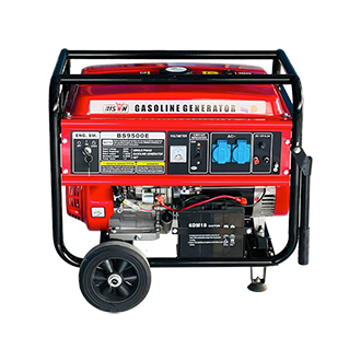 Bison Gasoline Generator 8KW BS-9500E